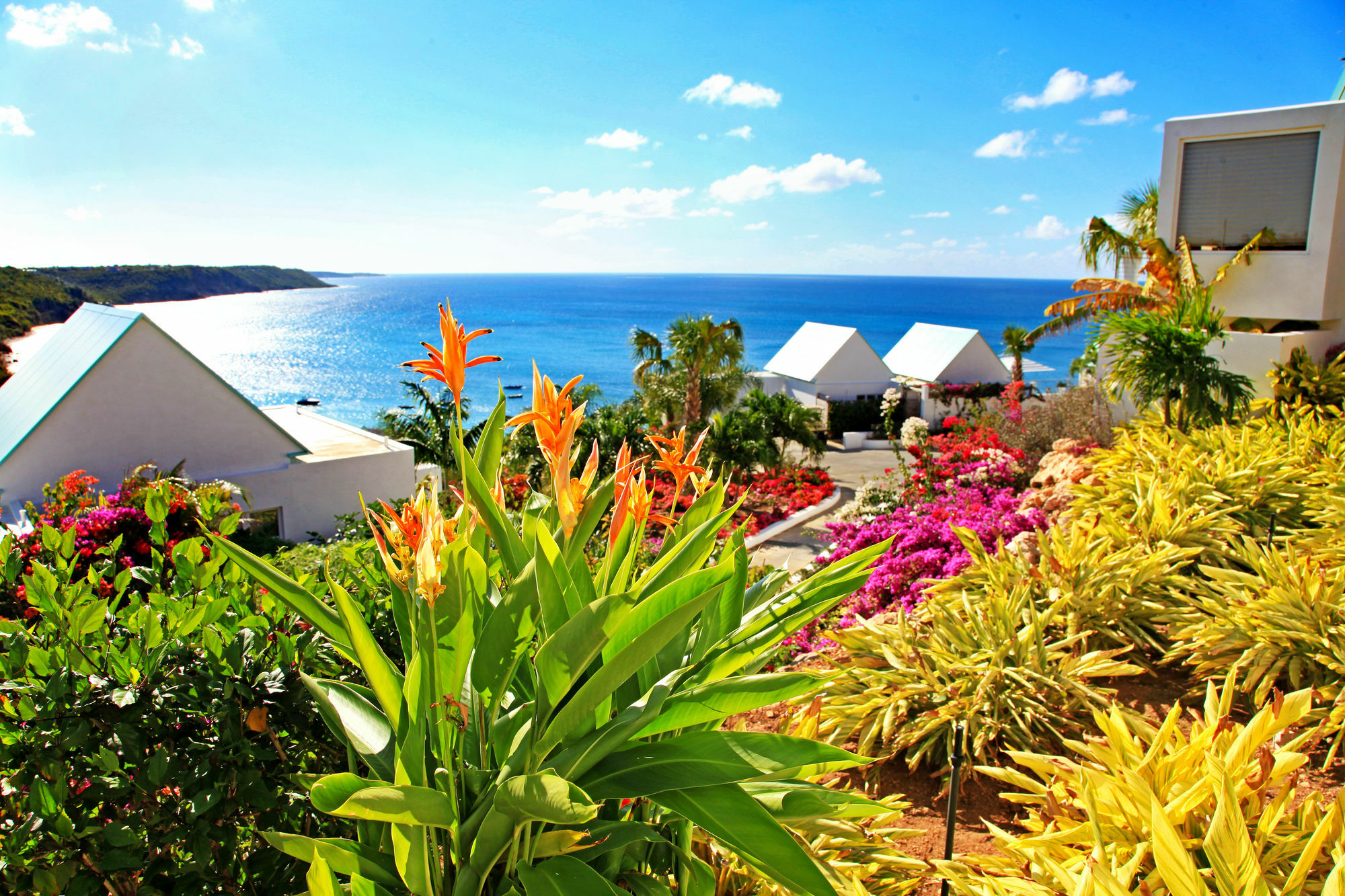 CeBlue Villas The Valley Esterno foto